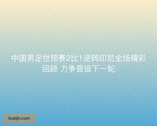 中国男足世预赛2比1逆转印尼全场精彩回顾 力争晋级下一轮